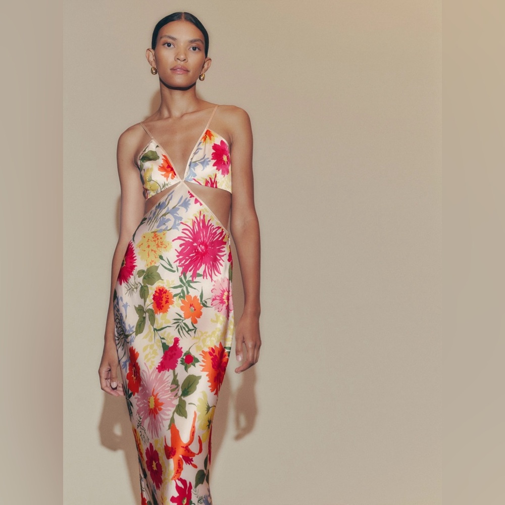 Reformation Floral Fabrizia Poppies Silk Dress